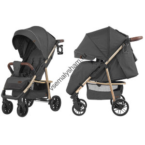 Коляска прогулочная BABY TILLY T-166 Eco