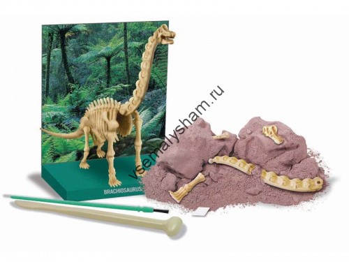 Набор раскопок Скелет Брахиозавра
