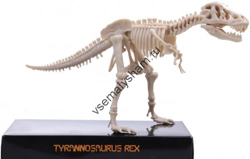 Набор раскопок Скелет Тираннозавра