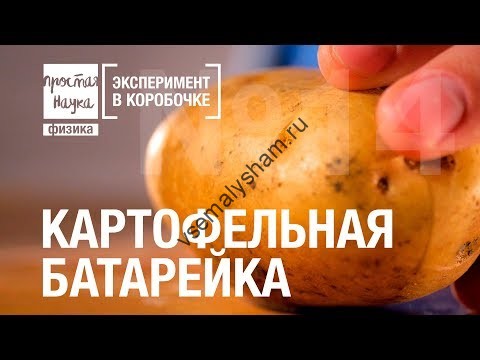 Картофельная батарейка Эксперимент в коробочке Видео